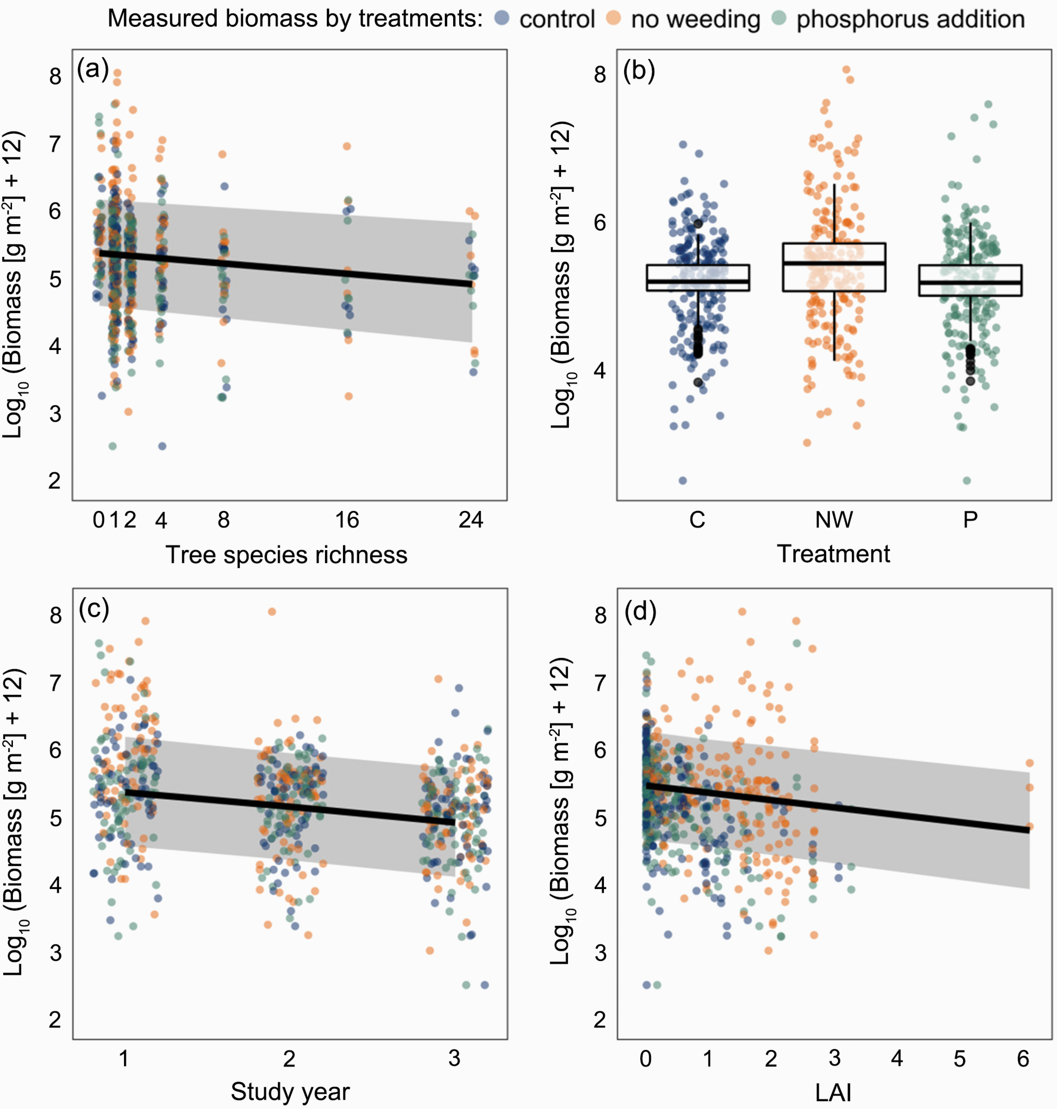 Drivers of understorey biomass: tree species identity is more important than richness in a young forest