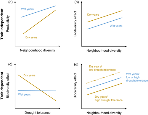 Neighbourhood diversity mitigates drought impacts on tree growth